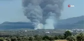 Muğla'da Milas'ın ardından Bodrum'da 2. büyük orman yangını