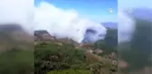 Muğla'da orman yangını (1)