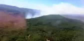 Muğla'da orman yangını (2)