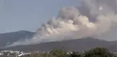 Muğla'daki orman yangınları devam ediyor