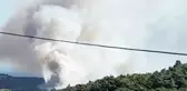 Urla'da orman yangını