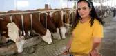 17 yıl sonra döndüğü köyünde süt tesisi kurdu! Şimdi paraya para demiyor