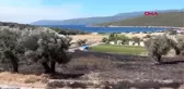 İZMİR 45 HEKTARLIK ALAN ZARAR GÖRDÜ