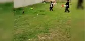 Kendisine atılan toplara şut çekerek cevap veren horoz şaşırtıyor