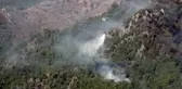 Milas ve Bodrum'daki orman yangınları devam ediyor