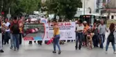 Mor boyalı koyunlarla kortej yürüyüşü
