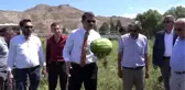 Sivas'ta ilk kez karpuz yetiştirildi