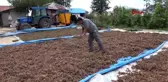 DÜZCE Fındık üretecisine 'aflatoksin' uyarısı