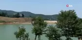 Kornişon üretimindeki artış Sındırgılı çiftçiyi sevindirdi