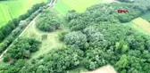 Edirne'de ağaçların kesildiği alana, foto kapan yerleştirilecek