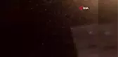 Kelebeklerin ölüm dansı kenti beyaza bürüdü