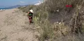 ANTALYA Kum zambağı ve carettalar için imza kampanyası