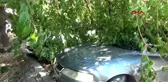 Hatay'da gölgede dinlenmek isteyen vatandaş canından oluyordu