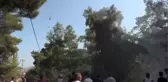 Marmaris'te orman yangını söndürüldü