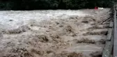 Ordu'nun dereleri taştı