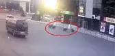 Rusya'da şehre inen ayı ve yavrularını böyle görüntülendi