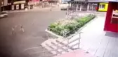 Rusya'da Şehre İnen Ayılar Ortalığı Birbirine Kattı