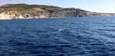 Şiddet gören kadınlar için kulaç atmaya başladılar (3)