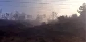 Antakya'da zeytinlik alanda yangın