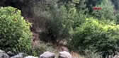Araziye yol açmak için sit alanındaki ağaçlar kesildi