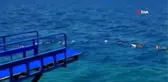 Atladığı yeri haberlerde izleyince kendi bile inanamadı