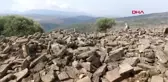 MANİSA AİGAİ'DE 1900 YILLIK HAYVAN KEMİKLERİ BULUNDU
