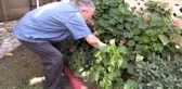 Gazi dedesinin protez gözüne 