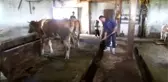 Gençler 