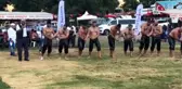 Halilağa 5. Yağlı Güreşlerinde başpehlivan Süleyman Aykırı oldu
