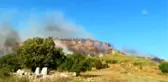 Orman yangını (2)