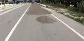Çin çekirdeğinin Türkiye'ye girmesiyle yerli üretim bitme noktasına geldi