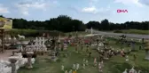 Edirne atölyesini, açık hava sanat galerisine çevirdi