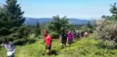 Milli kayakçılar Zafer Bayramı'nı Ilgaz'ın zirvesinde kutladı