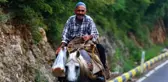 60 yıldır at üstünde elma satıyor