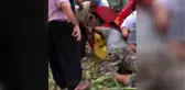 Ailesine yardım eden askerin kolu silaj makinesine sıkışarak koptu