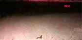 Muğla şezlongların arasından yaşama tutundular