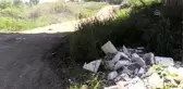 Ordu'da ırmak kenarına dökülen balıklarla ilgili inceleme