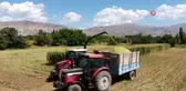 Silajlık mısır hasadı Erzincan'da başladı