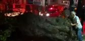 Ağaç devrildi: 1 yaralı