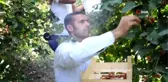 Batman'da devlet destek verdi, böğürtlen üretimi tavan yaptı