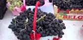 İslahiye Üzüm ve Biber Festivali başladı