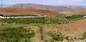 Şenyayla başarılı operasyonlarla huzura kavuştu