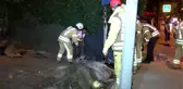 Su kanalına düşen atı itfaiye kurtardı