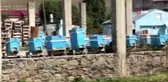 Arılarının zehirlendiğini iddia etti