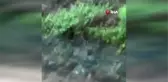 Rize'nin Madenli beldesinde şiddetli yağıştan bir mahalle tahliye edildi