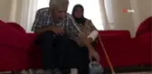 Yaşlı kadını otomobille ezip, damadını da dövdüler iddiası