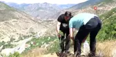 Bu ilçede her doğan bebek için fidan dikiliyor