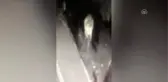 Güvenlik kamerasına içki şişesi fırlatan kişi gözaltına alındı