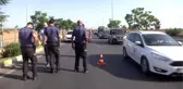 Yol kenarında dinlenirken otomobil çarpan besici öldü