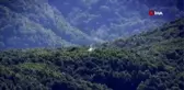 Şenyayla bölgesinde terör operasyonu